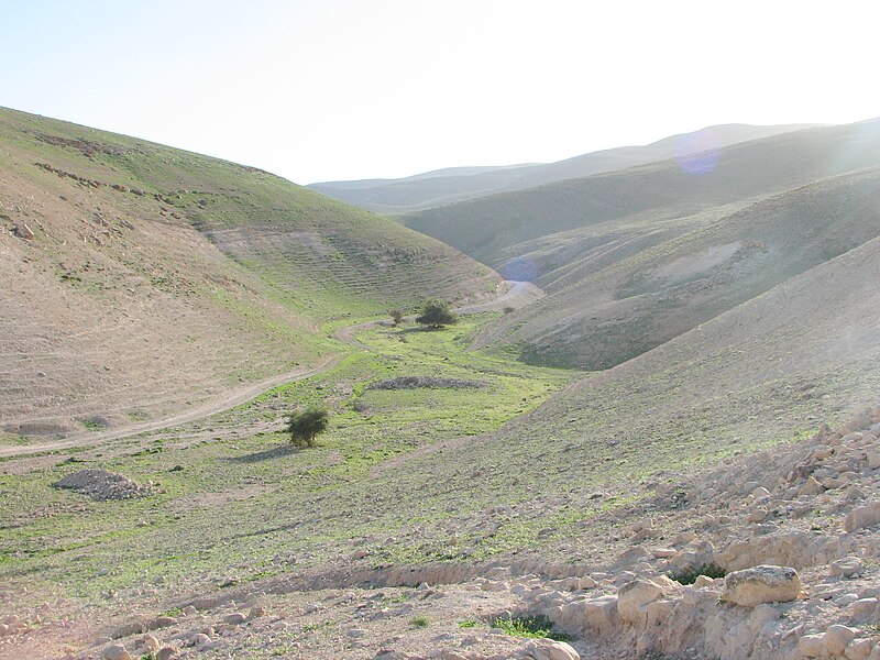 File:Fatzael Valley 045.JPG