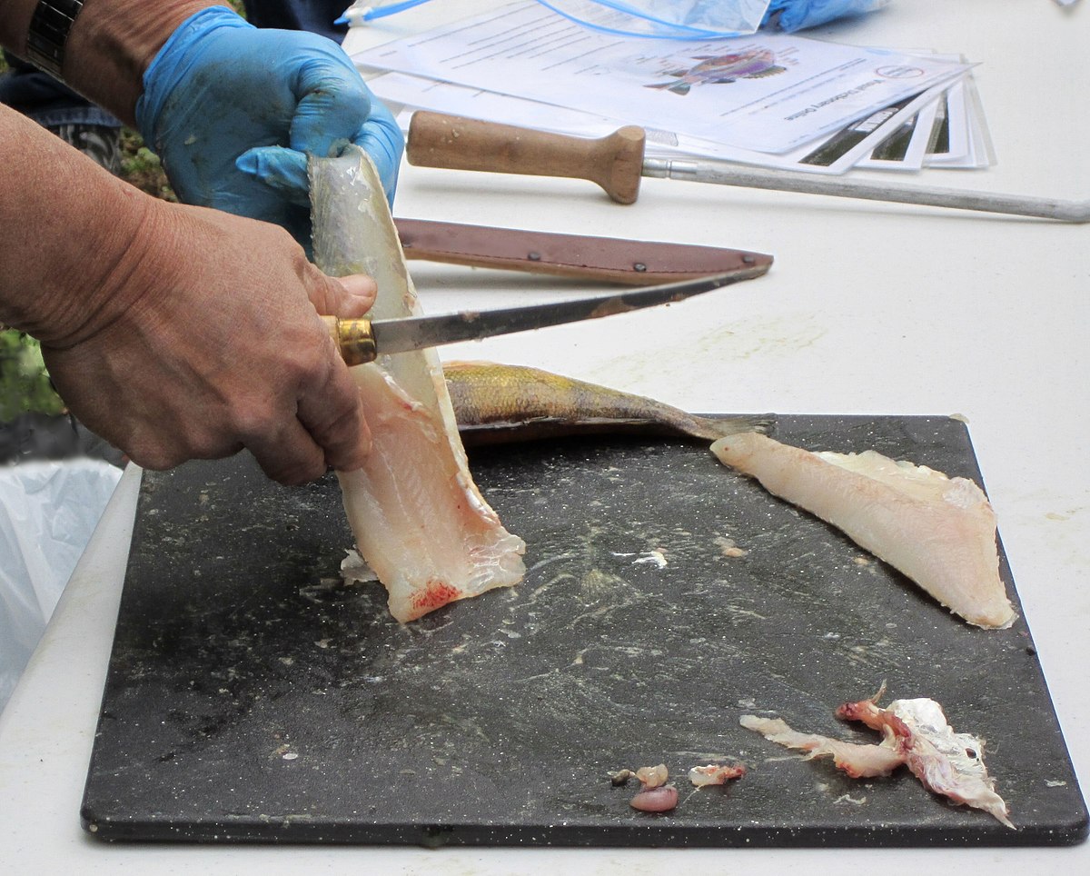 Fish Cutting Board not just for fisherman