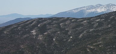 Ondas de abeto em White Mountains, New Hampshire