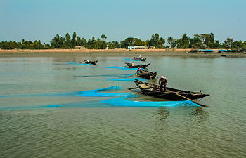 Fishing in Sundarban inhabitants, West Bengal, India.