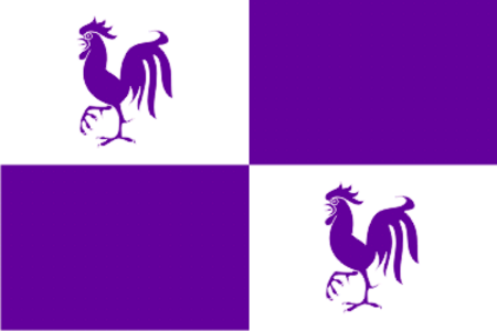 Flag brecena