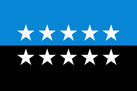 Flag of the European Coal and Steel Community (1981–1985)