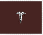 Flag of the Surgeon General of the United States Army with fringe