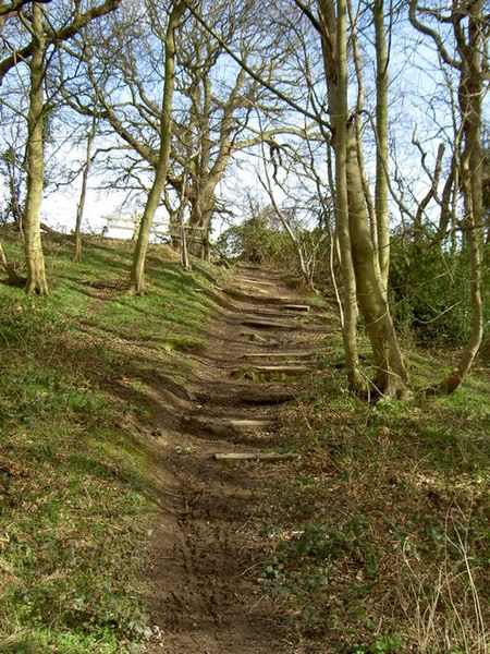 File:Footpath Steps leading towards Storeton. - geograph.org.uk - 734783.jpg