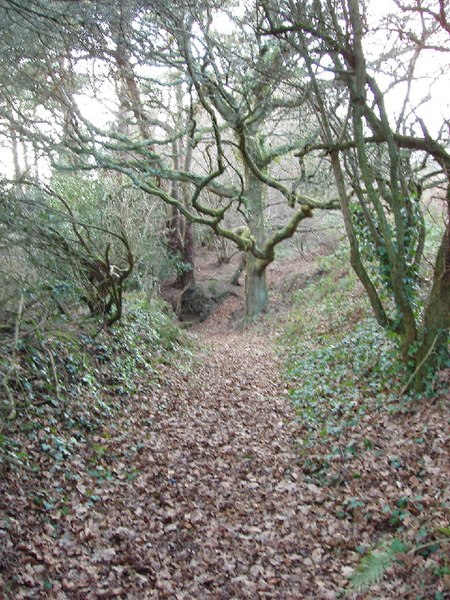 File:Footpath above Teignmouth - geograph.org.uk - 120241.jpg