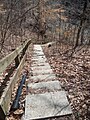 Stairs leading through the Gorge Trail at Fort Hill.