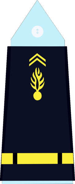 File:France (Gendarmerie) OF-D.svg
