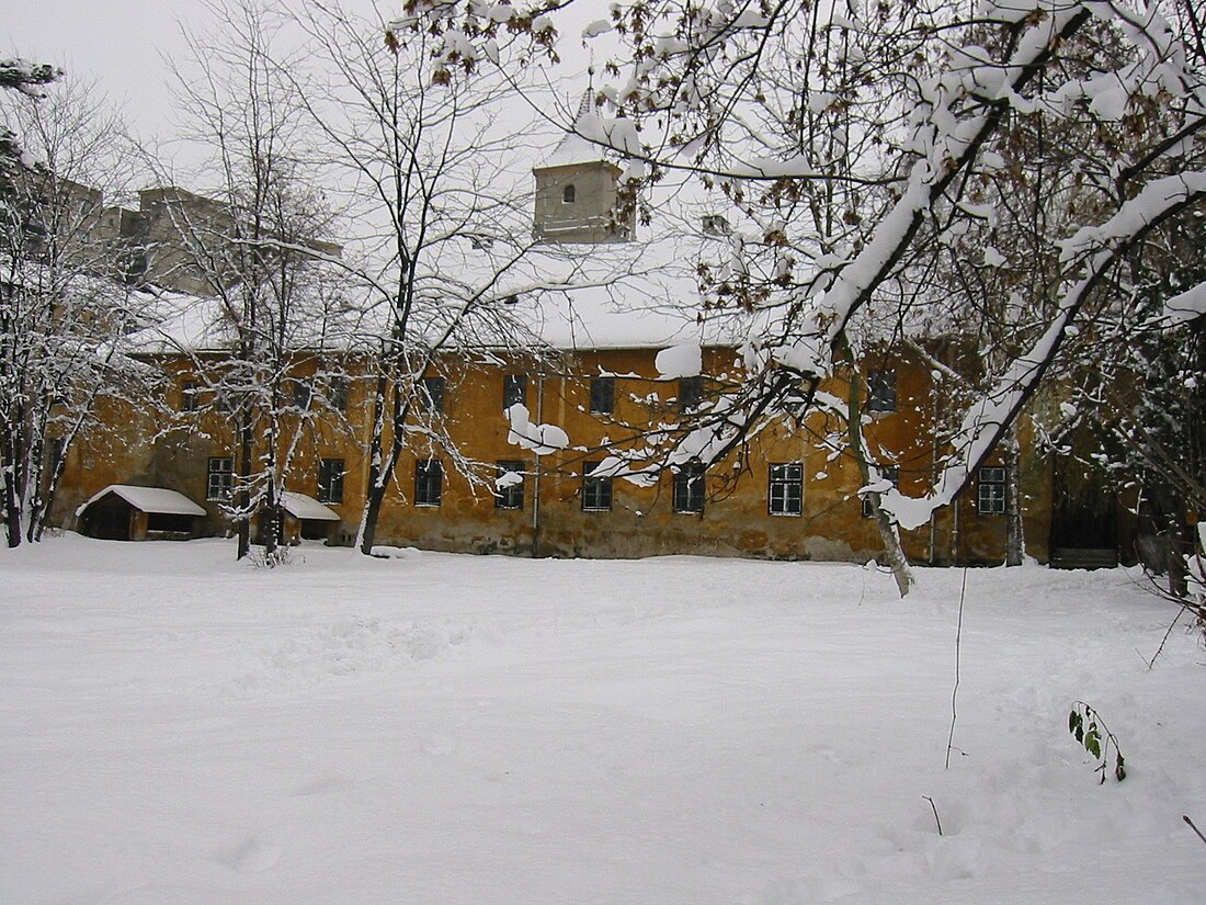 Biserica Franciscană din Mediaș