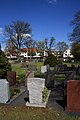 Der Friedhof in Eichenzell mit den acht als Naturdenkmal geschützten Bäumen