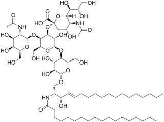 GM2 (ganglioside) Chemical compound