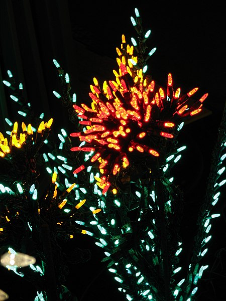 File:Garden d’Lights 2008 at the Bellevue Botanical Garden, img007.jpg