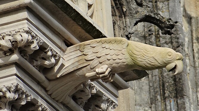 Gargoyle of Saint-Pierre Cathedral, Nantes