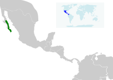 Geothlypis beldingi map.svg