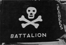 The Ghost Battalion was commanded by Cmdr. R.L. Foley who was TAD from NMCB 3. He received the Legion of Merit with V for combat for the job he did. (USN) Ghost Battalion colors.png