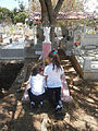 * Nomination Cementerio de San Juan Margarita --The Photographer 09:10, 25 October 2014 (UTC) * Decline A nice picture! But too much blur and noise in the picture --C T Johansson 10:15, 25 October 2014 (UTC)