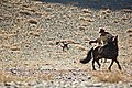 Golden Eagle Festival Mongolia 18