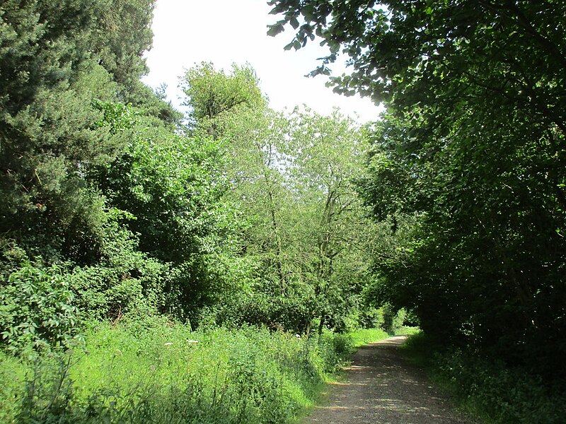 File:Green Lane near Farthinghoe - geograph.org.uk - 5645138.jpg