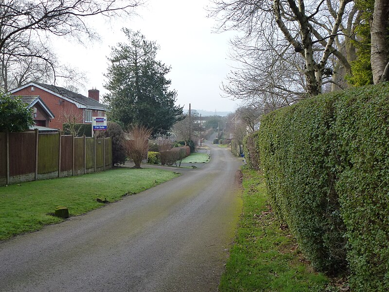 File:Groomsdale Lane, Hawarden - geograph.org.uk - 3300244.jpg