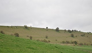 Grovely Castle Iron Age hillfort in Wiltshire, England