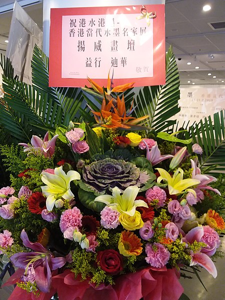 File:HKCL 香港中央圖書館 CWB 展覽 exhibition flowers February 2019 SSG 14.jpg