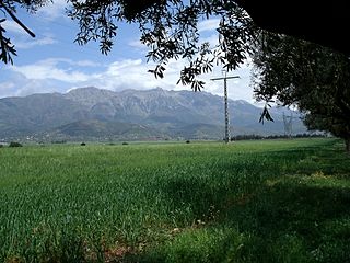 <span class="mw-page-title-main">Tell Atlas</span> Mountain chain in North Africa