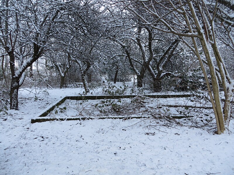 File:Hansi-Garten im Schnee (Flensburg-Mürwik 31 Januar 2015), Bild 04.jpg