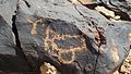 Petroglyphs on Har Karkom ridge, Israel