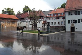 Abrevadero germano conservado en Baden-Württemberg