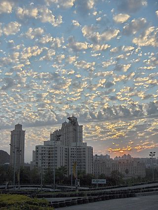 <span class="mw-page-title-main">Altocumulus castellanus cloud</span>