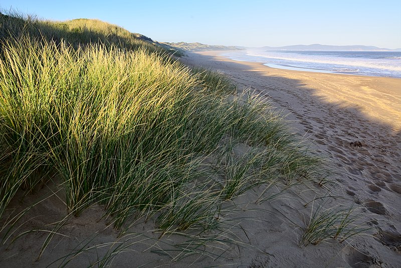 File:Hope Beach, Tas.jpg