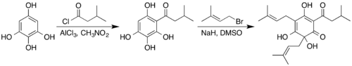 Synthese van humulon uit 1,2,3,5-tetrahydroxybenzeen