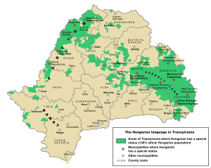 Areas of Transylvania, in Romania, where Hungarian has co-official status (areas in which at least 20% of the population is Hungarian) Hungarian language in Transylvania.svg