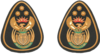 INSIGNIA - RANK - WARRANT OFFICER - COAT OF ARMS - TEAR DROP - WO 1 -- CHIEF.png