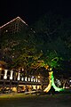Illuminated tree (28348229792).jpg