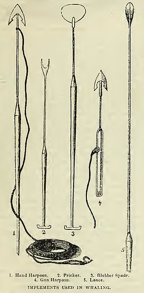 File:Implements used in whaling from Harper's New Monthly Magazine, Volume 12, December 1855 to May 1856 (IA harpersnew12harper) (page 483 crop).jpg