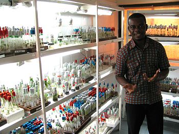 Ghanaian biochemist presenting a gene bank in Ghana In vitro Plant Collections - Ghana National Genebank at Bunso.jpg