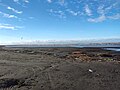 Foto tomada en la Isla Paulino, Berisso, Argentina