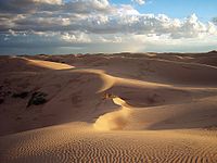 JRZ dunes.jpg
