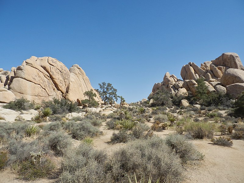 File:Joshua Tree Nationalpark Hidden Valley Nature Trail P4140426.jpg