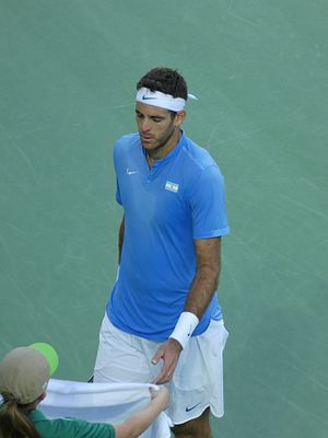 Juan Martín Del Potro: Biografía, Carrera profesional, Estilo de juego