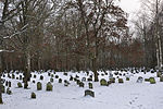 Thumbnail for Jewish cemetery, Kleinbardorf