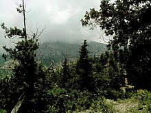 Juniper forest in Ziarat District, Pakistan.jpg
