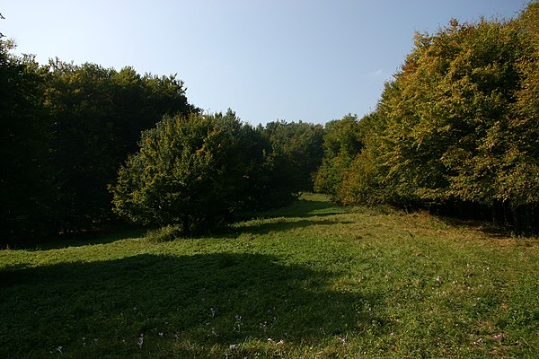 Image: Kemence, Hungary   panoramio   Kaszás Tibor (4)