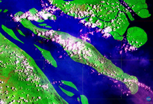 The islands of the Fly River Delta, including Kiwai, Purutu and Wabuda