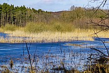 Kleiner Kelpinsee im Winter