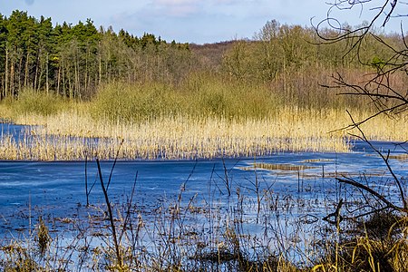 Kleiner Kelpinsee