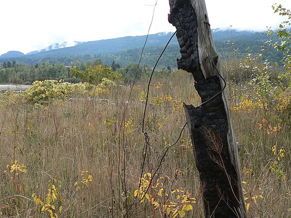 Kp'itl'els (Brilliant, BC), Sinixt village site on the confluence of the Kootenay and Columbia Rivers and historic home of the Alex Christian family