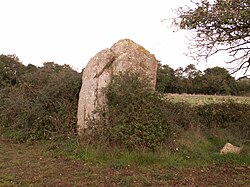 Imagine ilustrativă a articolului Menhir de la Mégerie