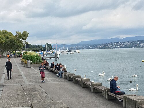 Lake in Zurich