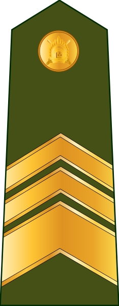 File:Latvia-Army-OR-8.svg